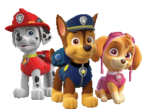 marshall chase and skye from paw patrol are standing together