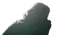 a person in a hooded jacket is standing in the sunlight