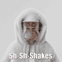 a monkey wearing a fur coat and a hat with the words sh-sh-shakes on it