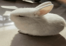 a small white rabbit is sitting on a tiled floor with its eyes closed