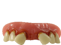 a close up of a fake teeth with a red border