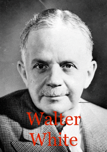 a black and white photo of a man with the name walter white in red