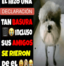 a dog standing next to a sign that says el hizo una declaracion