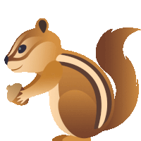 a chipmunk is holding an acorn in its paws on a white background