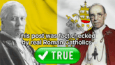 a post was fact checked by real roman catholics and has a green check mark