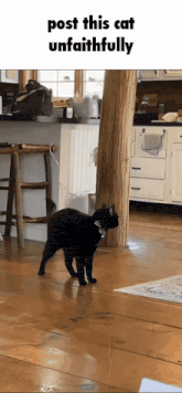 a black cat walking in a kitchen with a post that says post this cat unfaithfully above it
