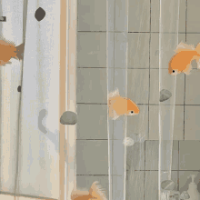 a shower curtain with fish swimming through it and a soap dispenser