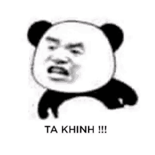 a panda bear is making a funny face with the words ta khinh written below it .