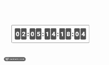 a black and white countdown clock with the numbers 02 05 14 17 59 on it