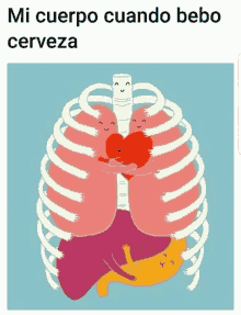 a cartoon illustration of a skeleton hugging a heart with the words mi cuerpo cuando bebo cerveza below it