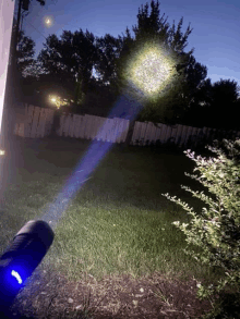 a person is holding a flashlight in their hand in a yard .