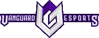 a logo for vanguard esports shows a purple and white logo