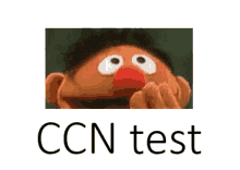 a picture of ernie from sesame street covering his mouth with his hands and the words ccn test below him .