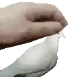a person is petting a white dove with their hand .