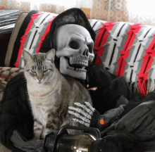 a skeleton is sitting on a couch with a cat and a coffee pot