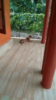 a dog is laying on a tiled floor under a fence