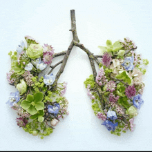 a pair of lungs made of flowers and twigs