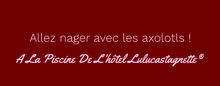 a red background with the words allez nager avec les axolots a la piscine de l' hotel lulucastagnette