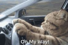 a cat is driving a car with its paws on the steering wheel and the words " on my way " below it