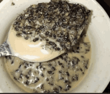 a spoon in a bowl filled with ants and cream