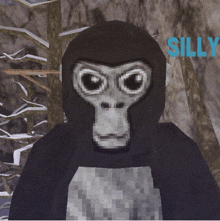 a picture of a gorilla with the name silly on the bottom right