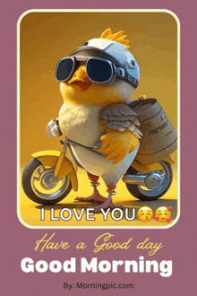 a cartoon chicken wearing a helmet and goggles is riding a motorcycle