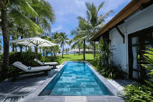 a large swimming pool surrounded by palm trees