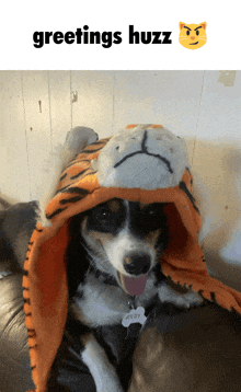 a dog wearing a tiger hat with greetings huzz written on the bottom