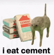 a cat standing next to a pile of cement bags