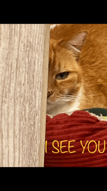 a cat peeking behind a red pillow that says " i see you "