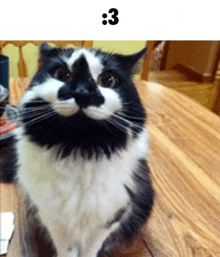 a black and white cat is sitting on a wooden table with the number 3 above it .