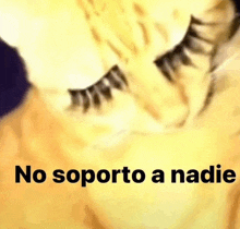 a close up of a cat 's eyes with false eyelashes and the words `` no soporte a nadie '' written in black