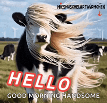 a picture of a cow with long hair says hello