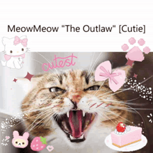 a picture of a cat with the words meowmeow " the outlaw " written below it
