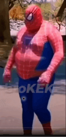 a man in a spiderman costume is standing on the beach .