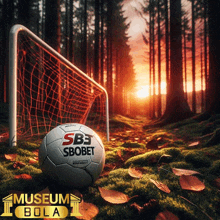 a soccer ball with sb3 sbobet on it