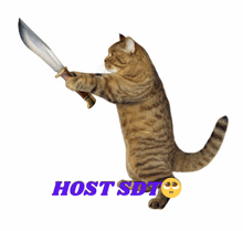 a cat is holding a knife with the words host sdt behind it