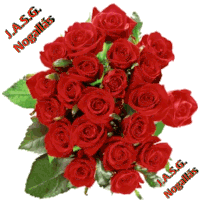 a bunch of red roses with the words j.a.s.g. nogallas written on the bottom