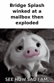 bridge splash winked at a mailbox then exploded and see how sad i am