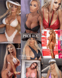 a collage of photos of a woman named alice connors is titled prolific