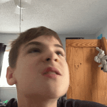 a young boy looks at the camera with a stuffed elephant hanging on the wall behind him