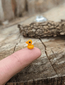 a small yellow rubber duck is on a person 's finger