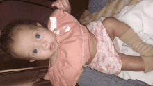 a baby with blue eyes is wearing a pink top and shorts