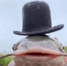 a fish is wearing a top hat with its mouth open .