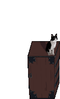 a black and white cat sits on top of a brown box