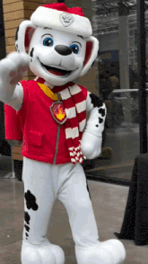 a mascot dressed as marshall from paw patrol stands in front of a window