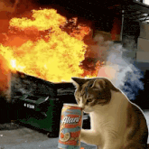 a cat holding a can of alani in front of a dumpster that is on fire
