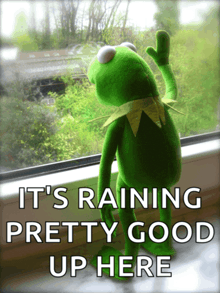 kermit the frog looking out a window with the words it 's raining pretty good up here below him
