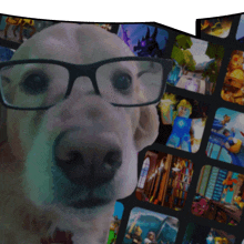 a dog wearing glasses is standing in front of a collage of images