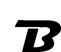 a black letter b with a white background